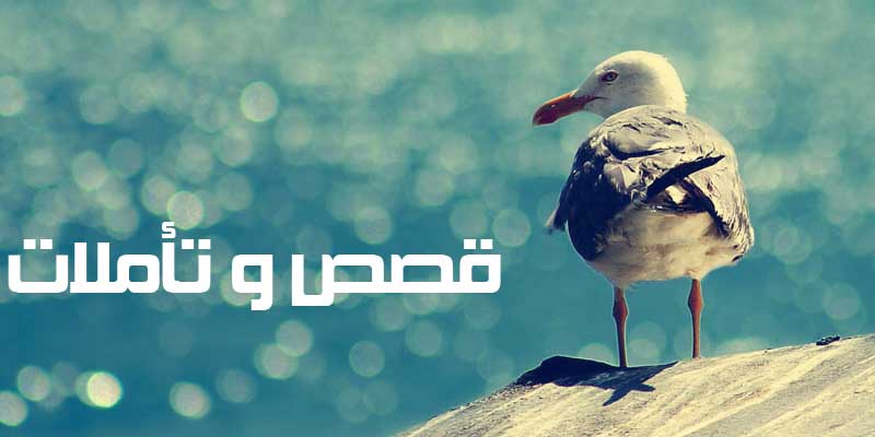 مقالات